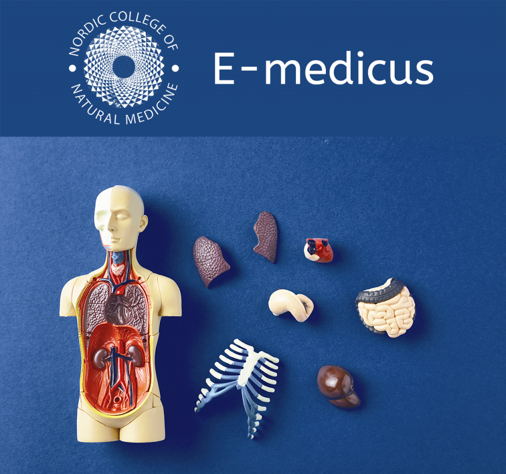 Anatomi, fysiologi og sygdomslære som e-learning